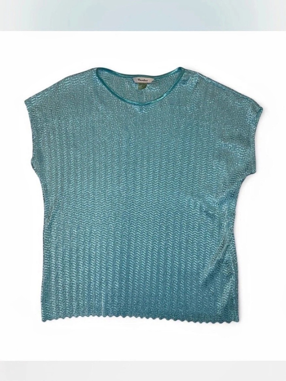 TanJay Textured Short Sleeve Top in Blue Size 2X Like New